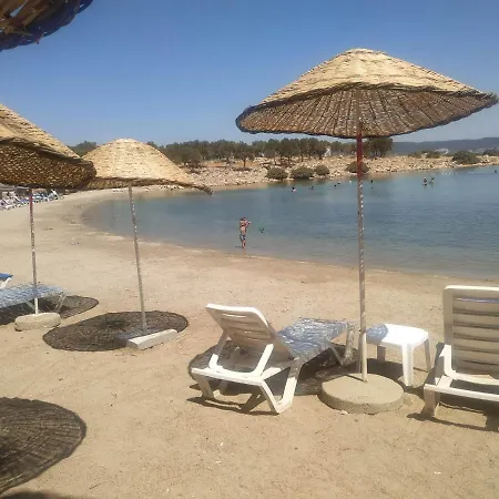 Horizon Sky Cherry 10 * Kıyıkıslacık