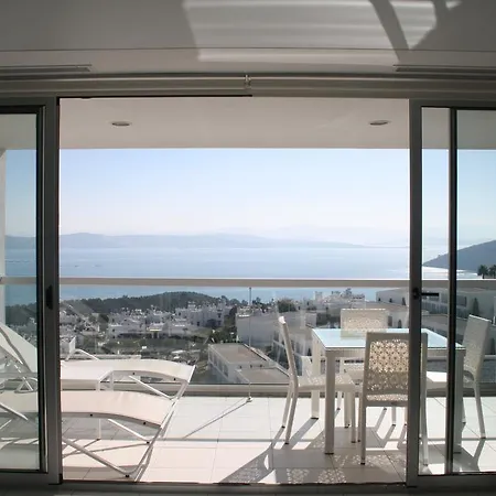 Horizon Sky Cherry 10 *