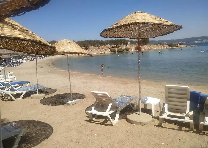 Horizon Sky Cherry 10 * Kıyıkıslacık