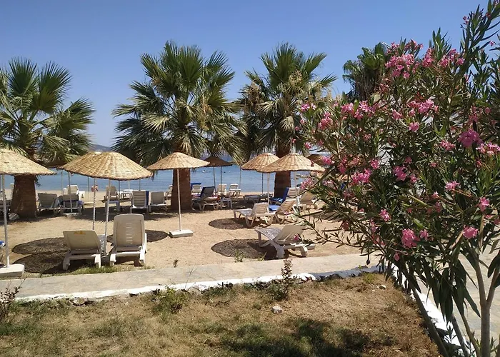 Daire Horizon Sky Cherry 10