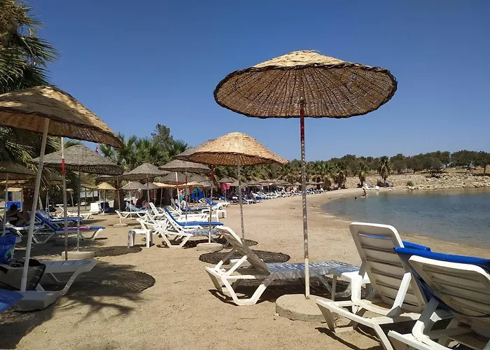 Daire Horizon Sky Cherry 10