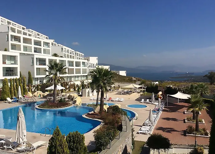 Horizon Sky Cherry 10 Daire *