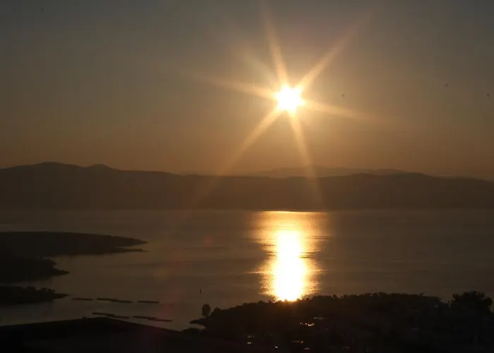 Daire Horizon Sky Cherry 10